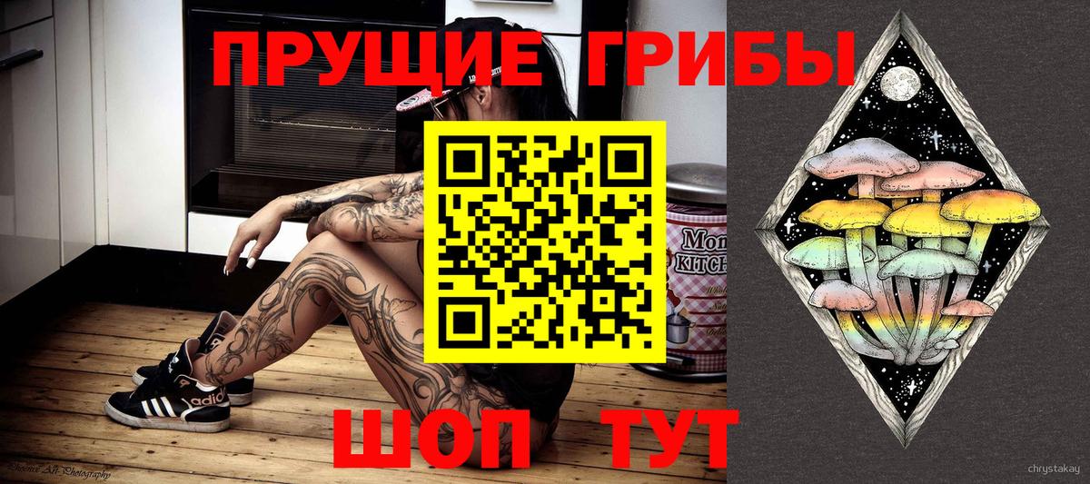 Псилоцибиновые грибы GOLDEN TEACHER Ленинск-Кузнецкий